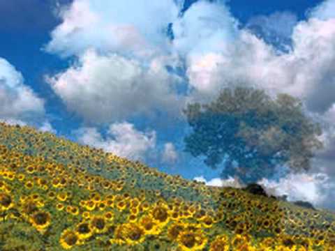 O Doamne Mare Cand Privesc Eu Lumea