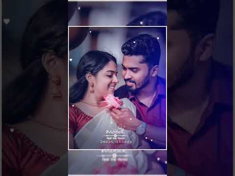 Thulasi chediya arali poovu