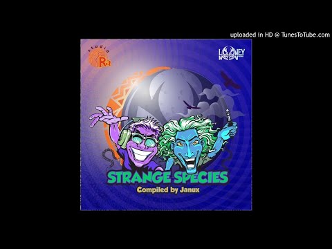 Jumpstreet & Radikal Moodz – Limbic Resonance