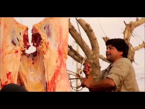 Enganchado │ Los de Salta │ Los Visconti │ Los Fronterizos │ Los Indios Tacunau │ Hiracio Guarany