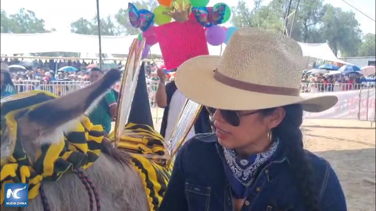 Celebran Feria Nacional del Burro 2026 en Otumba