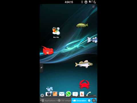 TSF Aquarium Pendants Video