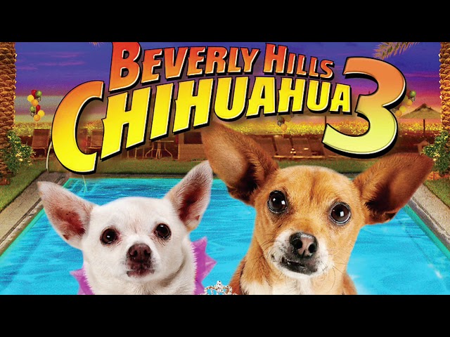 Vídeo relacionado con Beverly Hills Chihuahua 3 - Viva La Fiesta! [Alemania] [DVD]