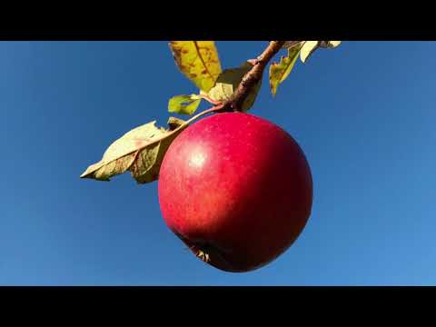 Sprockhövel im Ruhrgebiet. Die Wiege des Ruhrbergbaues