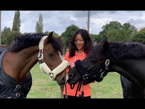 CSI Poneys de Barbizon Lou-Mai avec Qaid et Qopper