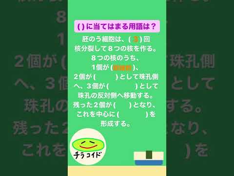 サムネイル