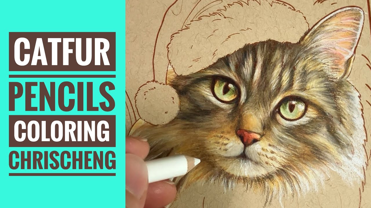 CAT Coloring - Part 1 | From 