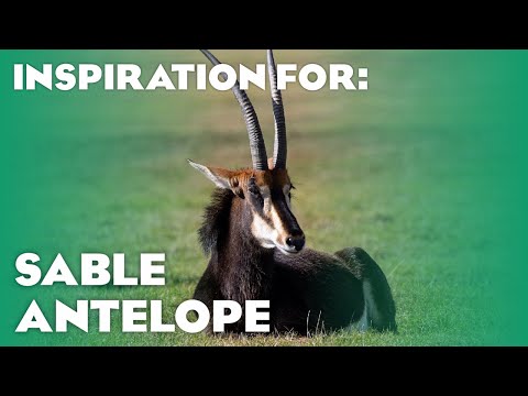 11 Real Sable Antelope Habitats! (Planet Zoo Inspiration)