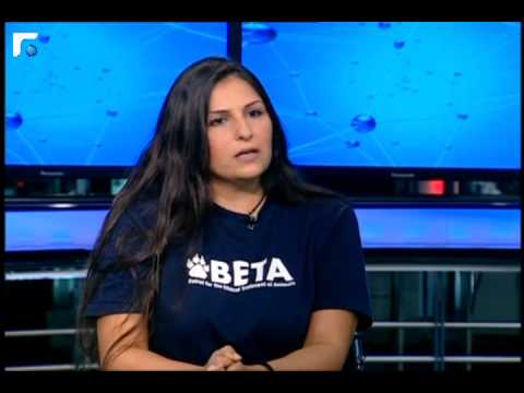 The Cat in the Microwave Scandal: Linda Tamim talks to BETA