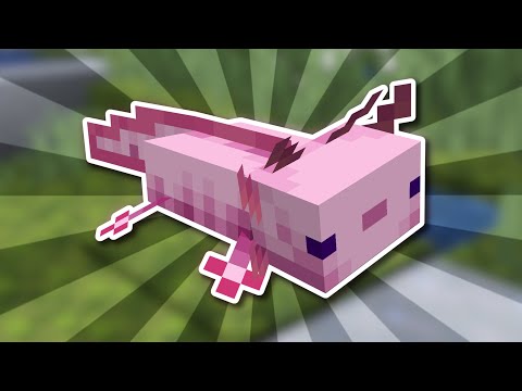 ULTIMATE GUIDE to Axolotls in Minecraft 1.20