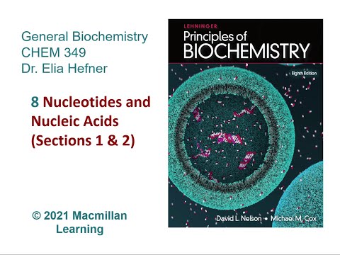 Chapter 8 (Sections 1 & 2) - Nucleotides and Nucleic Acids