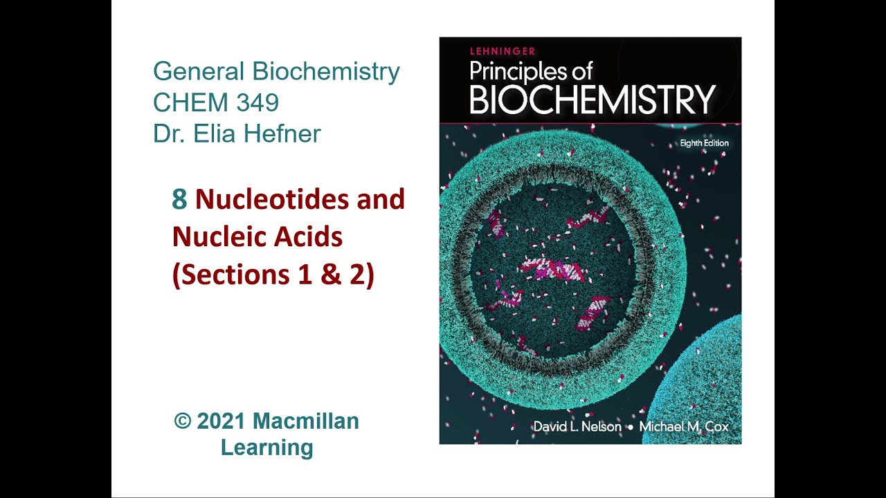 Chapter 8 (Sections 1 & 2) - Nucleotides and Nucleic Acids