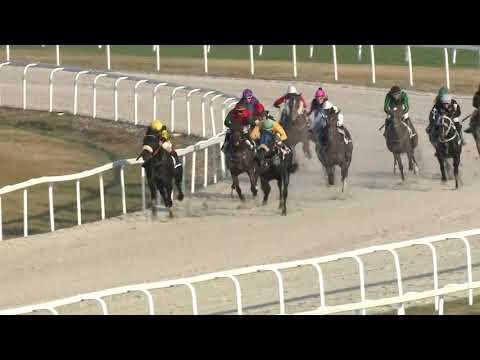 2018.10.07. 07. futam - DONCASTERI HENDIKEP (IV.o.) (szintetikus pálya)