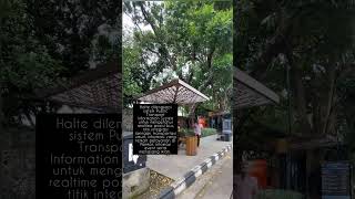 Download lagu Batik solo trans (BST) #shorts mp3 Download lagu Batik solo trans (BST) #shorts mp3
