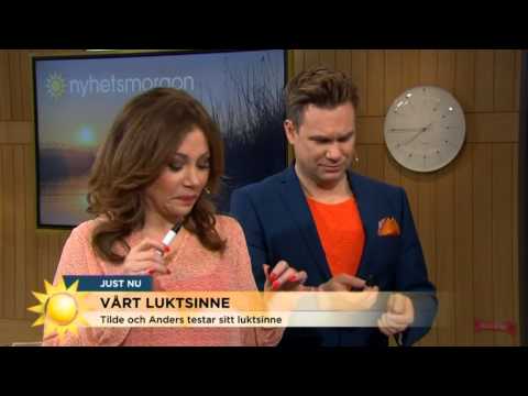 Tilde och Anders gör ett lukttest - Nyhetsmorgon (TV4)