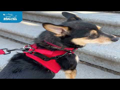 Bon produit -  Harnais pour chien Voyager Step-in Air