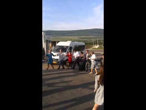 Pituscanii cu nunul!