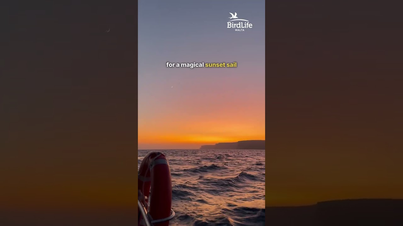 🌅 Our biggest summer adventure is back!