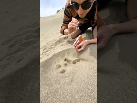 Insane Natural Gas Discovery in the Desert!