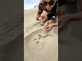 Insane Natural Gas Discovery In The Desert