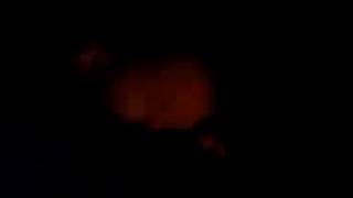 Stary niedźwiedź mocno śpi...