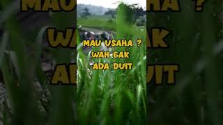 Download lagu Quotes BOB Sadino #shorts #katakatamutiara #viralshorts #bobsadinoquotes mp3