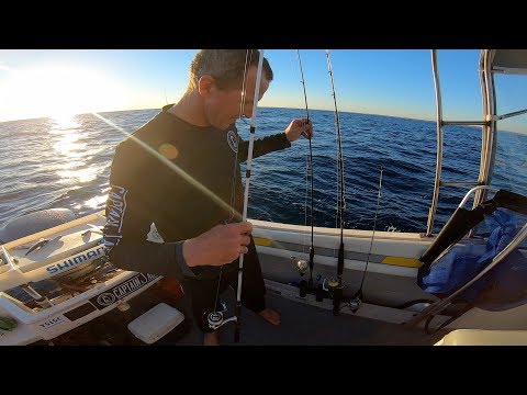 download lagu mp3 mp4 Fishing Tips Wa, download lagu Fishing Tips Wa gratis, unduh video klip Fishing Tips Wa