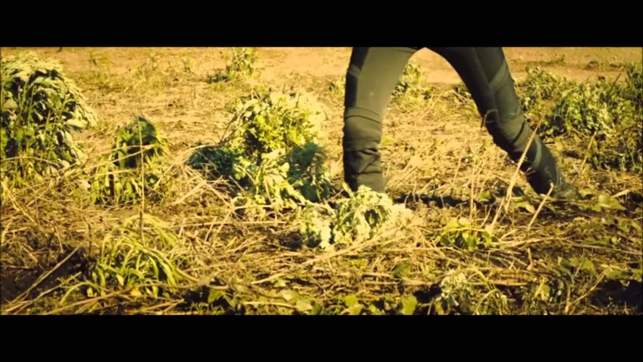 Divergent - Tris' Fear Simulation Training