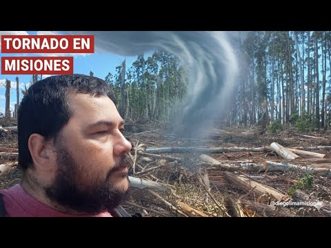 TORNADO DEVASTADOR en Misiones y Brasil 🌪️ | Así quedó el cuadro de eucalipto en Campo Grande