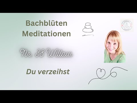 Bachblüten Meditation Nr. 38 Willow " Du verzeihst"