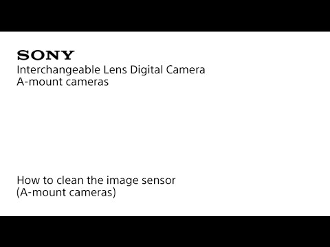 seinpaal Typisch Wegrijden Hoe moet ik de doorschijnende spiegel en de beeldsensor reinigen? | Sony NL
