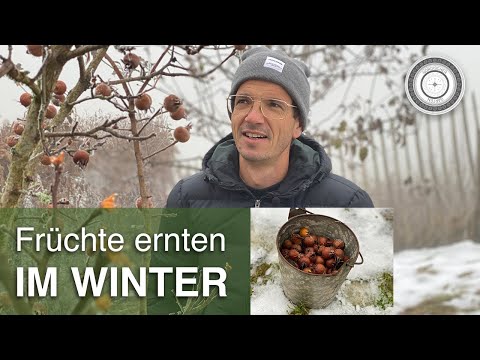 UNBELIEVABLE!!! Fresh fruit in December!