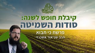 הרב שניאור אשכנזי - פרשת כי תבוא • הסודות של השמיטה: רגע השיא בארץ ישראל