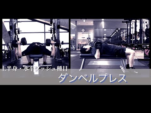 体育学科 ダンベルプレス