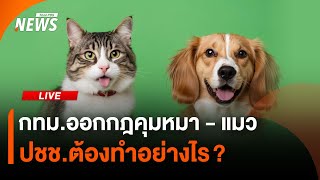 กทม.ออกกฎหมายคุมหมา-แมว ปชช.ต้องทำอย่างไร? | 2 พ.ค. 68