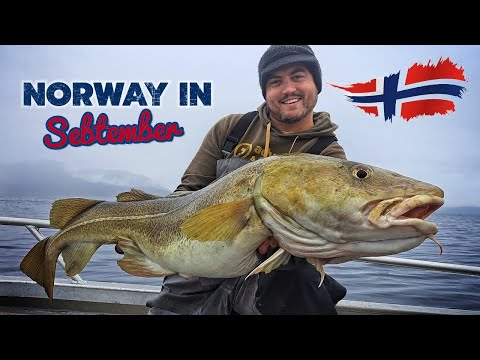 ZÁŘÍ V NORSKU - CHYTÁNÍ MAKREL,TRESEK,KELLERŮ / NORWAY IN SEBTEMBER - MAKREL,COD,COALFISH FISHING