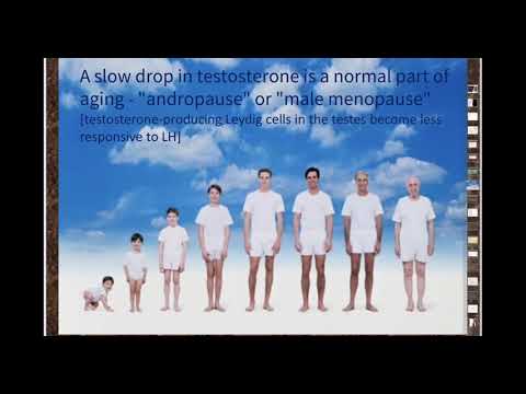 Testosterone: The Good, The Bad, The Ugly by Dr Sanjay Doshi