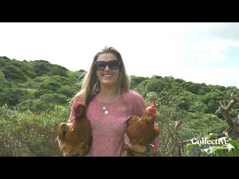 LIVE THE GOOD LIFE! - 110 Tireti Road, Titahi Bay