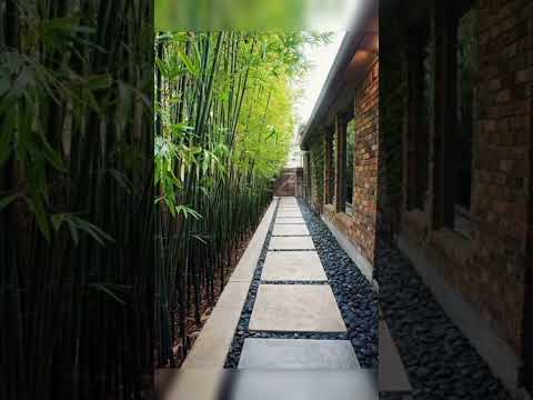 Backyard Garden Ideas #backyard #garden #landscape #green #plants #indoor #rear #courtyard #viral