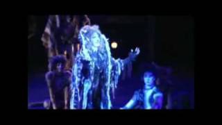 Lisa Hopkins Seegmiller as Grizabella sings Memory from Andrew Lloyd-Webber&#39;s Broadway Musical CATS