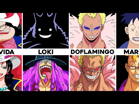 The Designs of One Piece Characters BEFORE and AFTER
