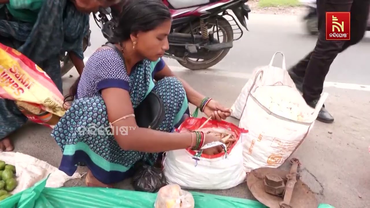 ସମ୍ବଲପୁରରେ ଜଙ୍ଗଲୀ ଛତୁର ଚାହିଦା | NandighoshaTV