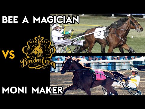 Bee A Magician vs Moni Maker - The Bracket - Open Trotters