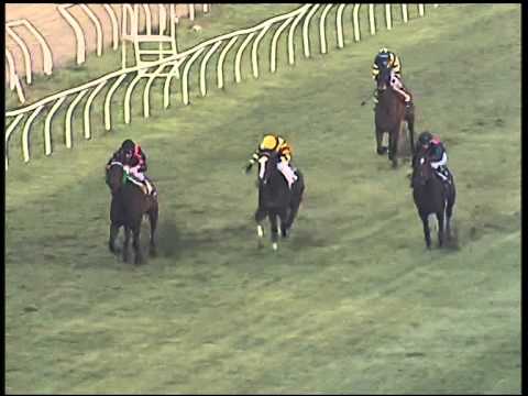 Galoppo 09/01/2015 - 1° corsa