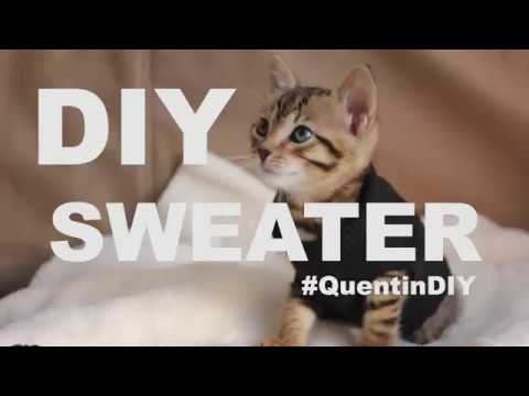 DIY - Cat Sweater