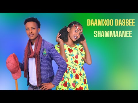 Daamxoo Dassee /Shammaane/ New African Ethiopian Oromo music 🎶 (2025)Official Video