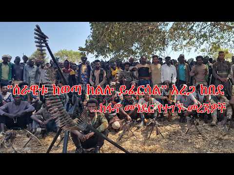 Anchor Fano news Mar 1'ሰራዊቱ ከወጣ ክልሉ ይፈርሳል' አረጋ ከበደ፥ ከፋኖ መንደር የተገኙ መረጃዎች
