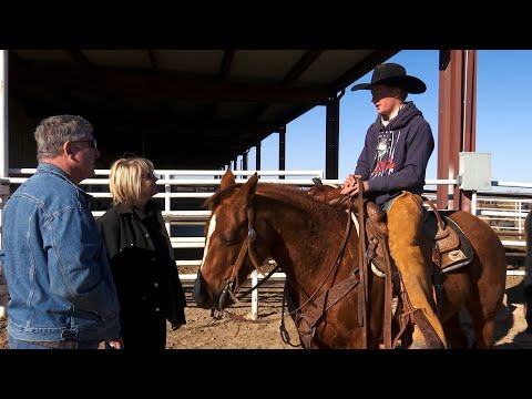 Wildorado Cattle Co. (Texas Country Reporter)