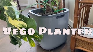 VEGO Garden Self-Watering Planter with Trellis | Best Planter for Climbing Plants & Easy Gardening
