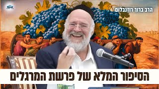 הרב רוזנבלום בהמחשה מיוחדת על "סיפור פרשת המרגלים ועונשם" פ"א - שיעור מומלץ מאוד (הרב ברוך רוזנבלום) - התמונה מוצגת ישירות מתוך אתר האינטרנט יוטיוב. זכויות היוצרים בתמונה שייכות ליוצרה. קישור קרדיט למקור התוכן נמצא בתוך דף הסרטון
